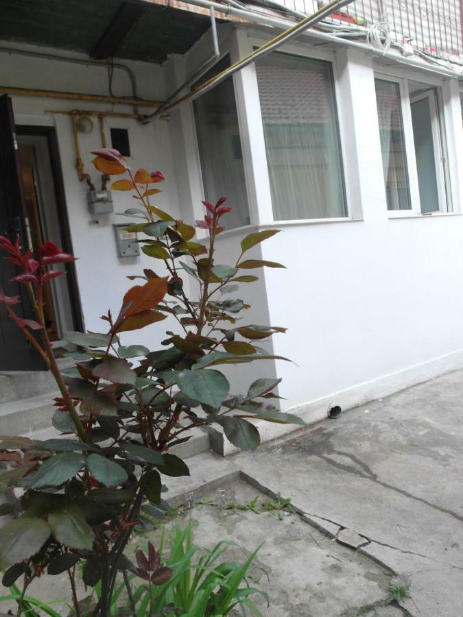 Studio Moliere Braşov Exterior foto